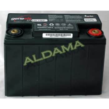 Batería 12V 12Ah ECG MAC VU