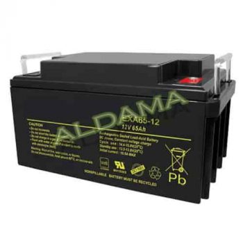 Batería 12V 65Ah Rayos-X móvil Mira Siemens Medical